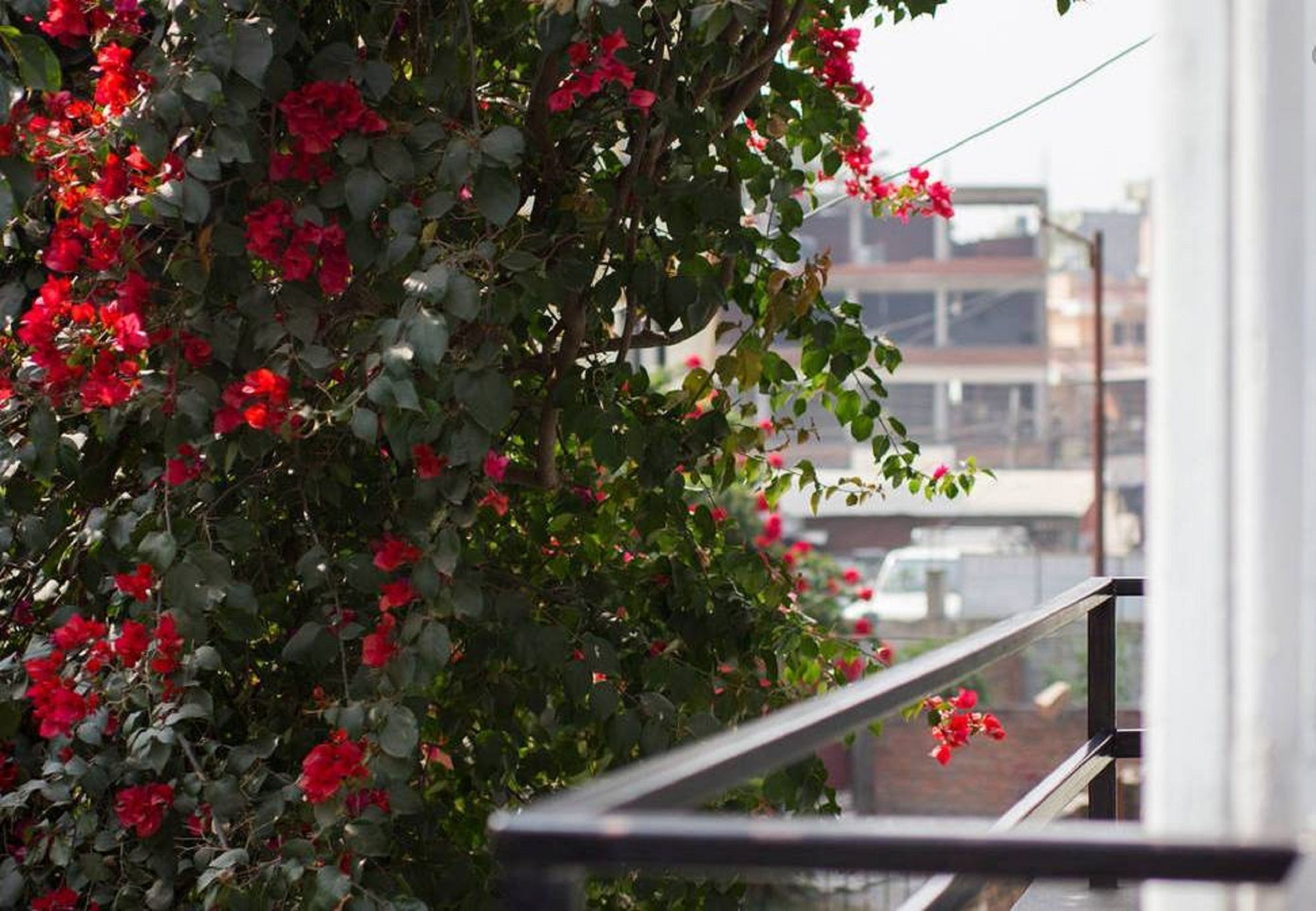 Le Rhododendron Chambres D'Hotes Κατμαντού Εξωτερικό φωτογραφία